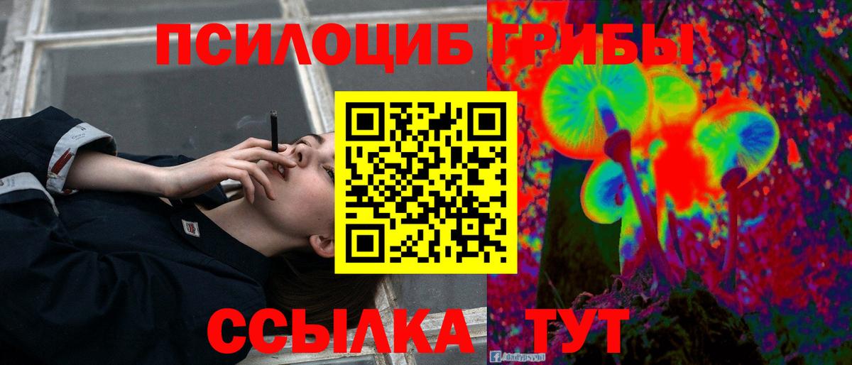 Псилоцибиновые грибы мицелий Коммунар